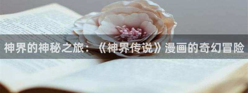 yy漫画破解版无限阅币：神界的神秘之旅：《神界传说》漫画的奇幻冒险